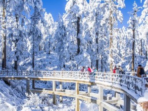 东北三天，赴一场冰雪与热辣的极致邂逅