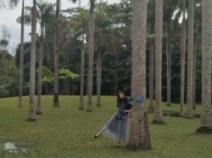 西双版纳景洪市自助游攻略，漫步热带雨林，邂逅傣家风情
