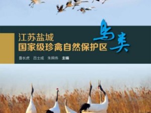 盐城自然保护区，邂逅丹顶鹤与麋鹿的生态诗篇