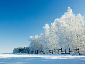 冬游泰山，雪落岱宗，别样风情