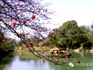太湖春意浓，年味正当时——春节太湖旅游全攻略