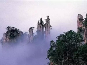 张家界到台州，一场奇峰与海风的跨省浪漫