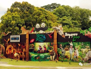 狮城探秘，在新加坡动物园，与自然共赴一场奇妙约会
