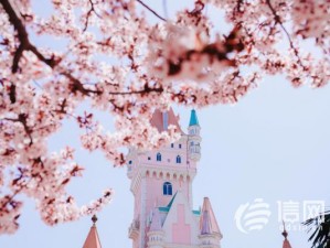 长沙4月初，春日漫游指南，邂逅星城的温柔时光