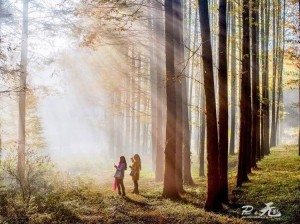 九十九里，被时光偏爱的人间秘境