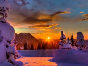 1月，赴一场南方的暖冬之约——在12℃的阳光里，邂逅冬日的温柔