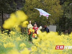 2月从广州出发，邂逅云南的暖冬与春色