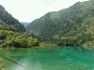 重庆出发，自驾奔赴九寨沟，600公里山水画卷，遇见人间仙境