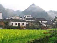江西7日深度游，婺源、三清山、庐山、景德镇，邂逅江南的诗意与匠心