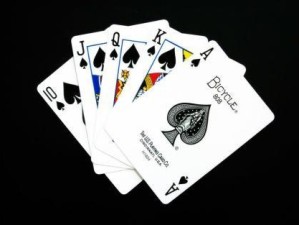 EVPOKER扑克网站，在策略与运气之间，找到你的竞技主场