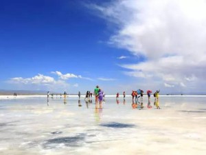 沙湖青海湖，两种蓝，一场西北的梦境