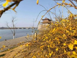 3月春意渐浓，这些地方天气正适合踏青赏景！