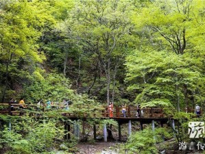 九阜山，寻幽探秘的天然氧吧，治愈身心的生态之旅
