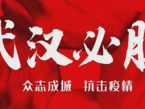 众志成城，共克时艰，中国国内疫情防控的实践与启示