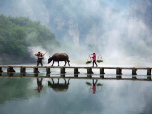 驭风逐景，画里寻幽，古堰画乡自驾之旅