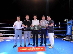 星华体育直播官，连接热爱，共燃体育激情