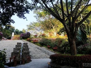 8月赴一场西双版纳的雨季之约，在热带雨林里邂逅清凉与生机