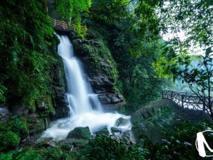 雅安瓦屋山，中国桌山的秘境仙境，原始森林里的山水诗画