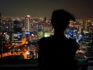 东京关东漫记，从霓虹街巷到山海秘境的邂逅
