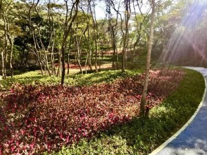 三月踏青去，不负春光，邂逅5个最美旅行地