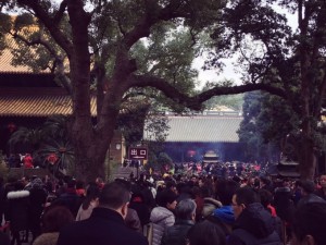 沪苏杭春节游，烟火人间与江南风味的年味交响