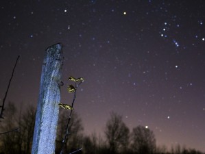 开源天文软件全攻略，从下载到安装，轻松开启你的星空探索之旅