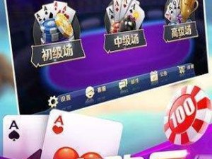 天天欢乐德州官方网站，一站式德扑娱乐与竞技攻略指南