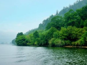 山水间的诗意栖居——探寻雁栖镇的旅游魅力