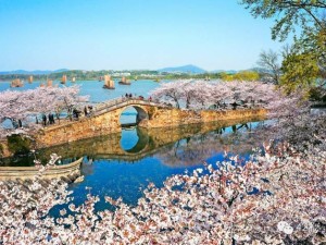 汉沽自助游攻略，邂逅滨海慢时光，盐田渔村与樱花的诗意邂逅