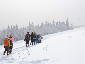 雪落阿勒泰，一个人的冬日童话之旅