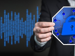 同花顺电脑版软件下载指南，安全、高效，开启专业投资之旅