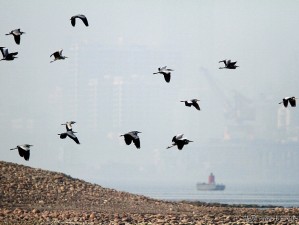 冬日宜昌，长江边的诗意暖冬与山水秘境