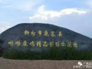 广西金天下，探秘八桂秘境，邂逅山水与人文的交响