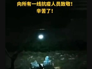 被按下暂停键的日子里的微光