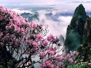 五月春未尽，昆明周边这些好去处，不负春光不负卿