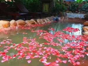 江南春温泉，在烟雨江南，泡一池温润的诗意