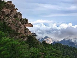 蒙山寻幽，解锁必玩景点，邂逅山水间的诗意与传奇