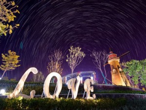 1月深圳，暖阳与繁花共舞，赴一场冬日限定的南国之约
