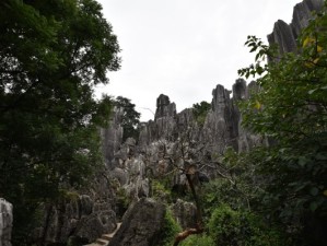 车轮丈量山水，自驾赴一场桂林的诗意之约