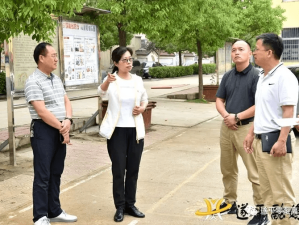 通宝tb222下载，全面指南与安全注意事项