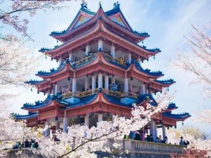 京都骑行，在古巷与樱岚间，解锁自由行的诗意密码
