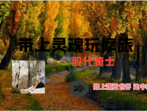 从蓉城烟火到雨林秘境，成都出发，邂逅西双版纳的热带诗与远方