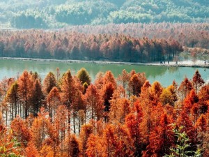 大理10月，邂逅人间理想秋色，解锁最佳旅行时光