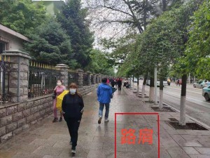 顺城区最新天气预报查询指南，精准掌握天气动态，出行生活更从容