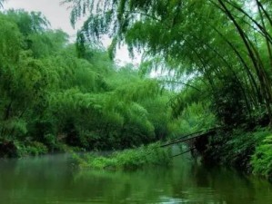 南山竹海御温泉，邂逅山水清欢，沉醉温润时光