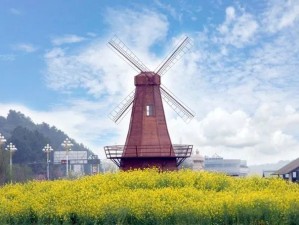 从沈阳出发，邂逅北海道的四季浪漫