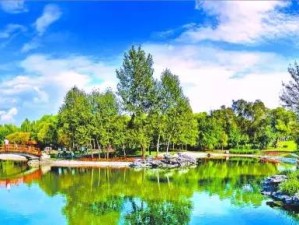 7月哈尔滨，避暑胜地，清凉一夏的浪漫之旅