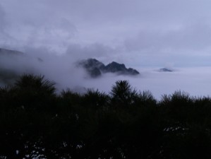 从魔都到仙境，上海出发，邂逅黄山云海与松涛