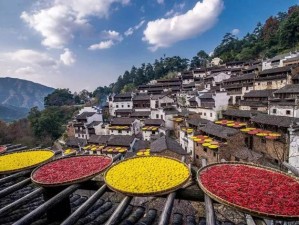 驾游赣鄱大地，江西自驾自由行攻略，在山水与人文间邂逅诗与远方