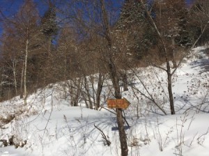 哈尔滨自由行全攻略，从冰雪童话到俄式风情，一篇搞定你的东北之旅！